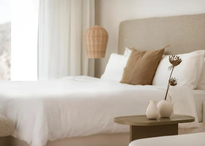 Hotel Mykonos Flow - Super Paradise, Adults Only Playa Super Paradise